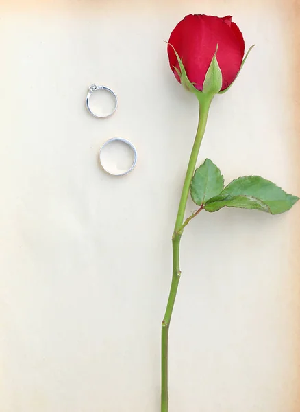 Червоні Троянди Квітка Обручкою Старому Коричневому Папері Білому Тлі — стокове фото