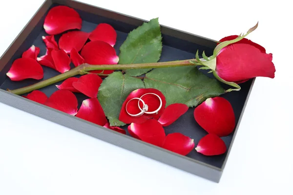 Обручки Пелюстках Червоної Троянди Розкішній Шкіряній Коробці — стокове фото