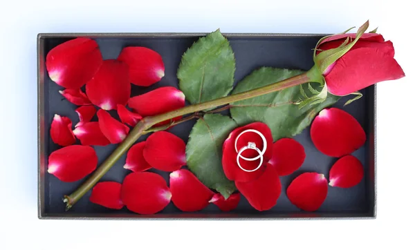 Obrączki Płatki Czerwonych Róż Luksusowe Skórzane Pudełko — Zdjęcie stockowe