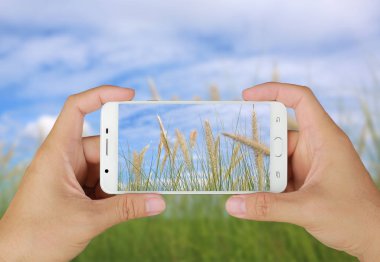 Ellerini çim smartphone ile çekim.