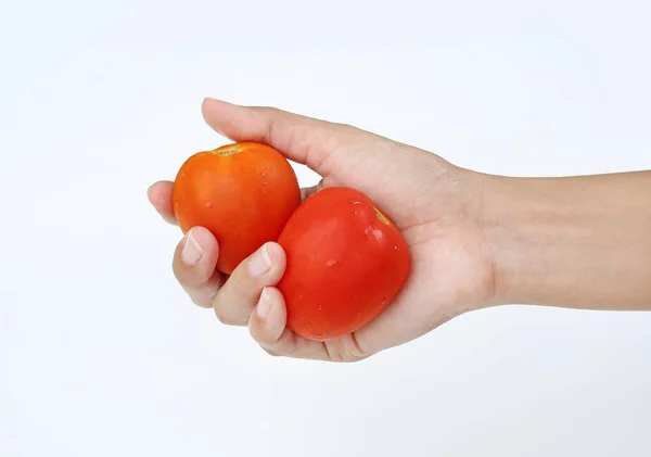 Hand Hält Tomaten Isoliert Auf Weißem Hintergrund — Stockfoto