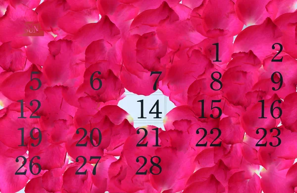 Stránka Kalendář Plně Růžové Okvětní Plátky Růží Února Den Svatého — Stock fotografie