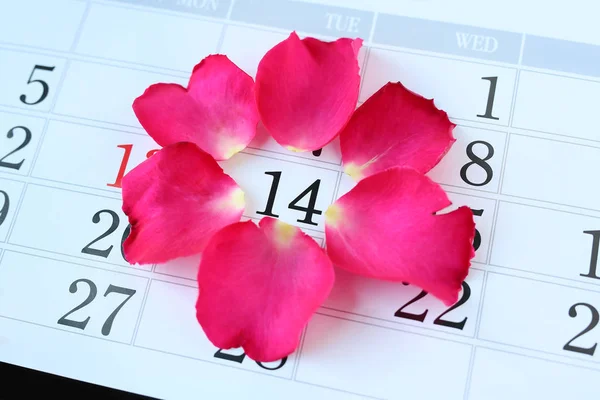 Růžovou Růží Kolem Února Kalendáři Den Svatého Valentýna — Stock fotografie