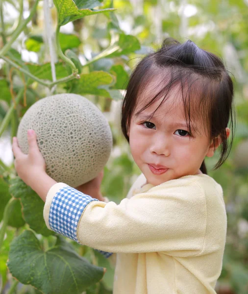 Małe Dziecko Dziewczynka Gospodarstwa Melon Cieplarnianych Melon Farm — Zdjęcie stockowe
