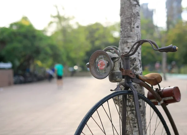 公共の公園で大きな前輪とレトロな自転車 — ストック写真