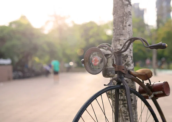 Retro Bicycle Large Front Wheel Public Park — Stock Photo, Image