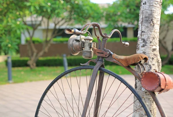 Ретро Велосипед Большим Передним Колесом Общественном Парке — стоковое фото
