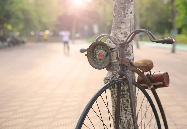 Retro Sykkel Med Stort Forhjul Offentlig Park – stockfoto