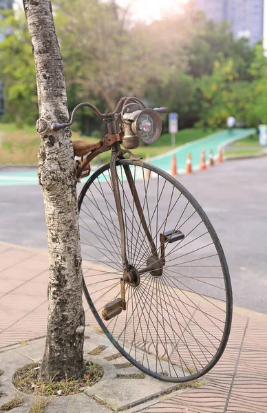 Retro Cykel Med Stora Framhjul Offentlig Park — Stockfoto