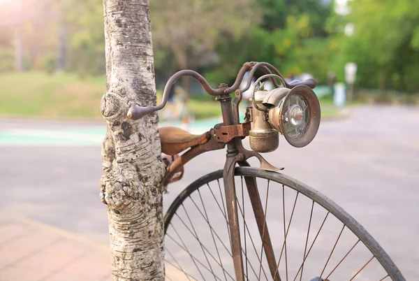 Bicicleta Retro Com Grande Roda Dianteira Parque Público — Fotografia de Stock