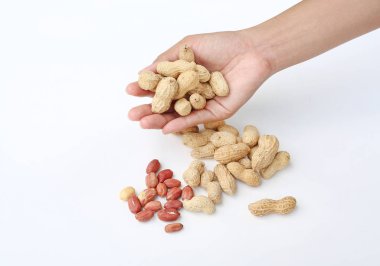 Kabuk ve fıstık fıstık karşı beyaz arka plan üzerine beyaz holding eller