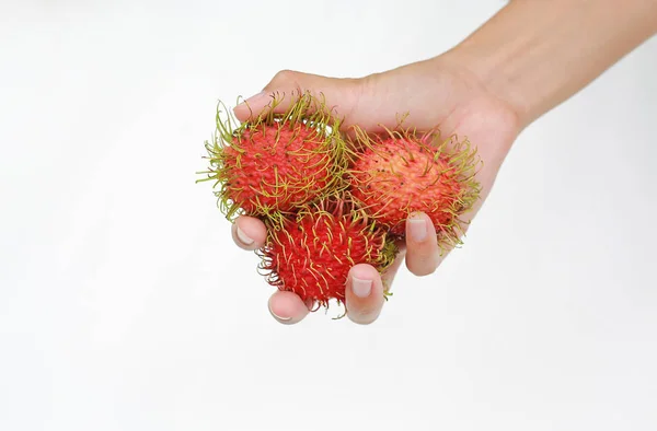 Main Tenant Rambutans Fruits Sur Fond Blanc — Photo