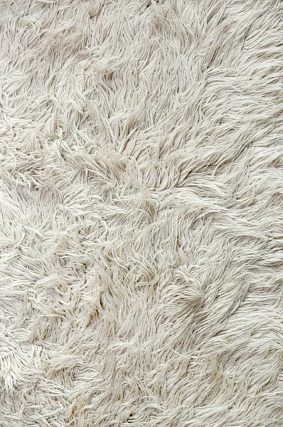White Fur Background Close — Stock Photo, Image