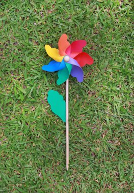 Yeşil çim üzerinde renkli Çarkıfelek