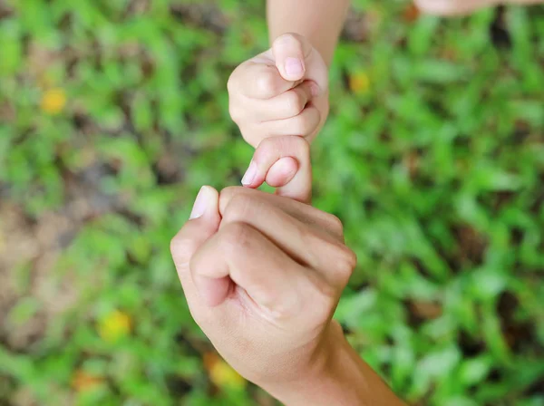 Mère Fille Faire Une Promesse Pinkie Dans Jardin Herbe Verte — Photo