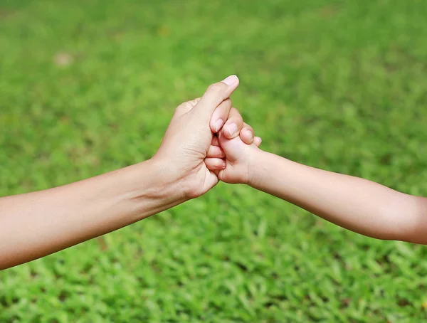 Des Mains Mère Fille Tenant Une Autre Parc Été Arrière — Photo