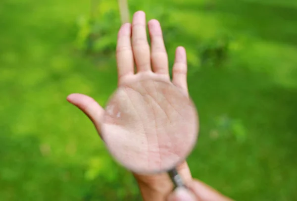Vergrootglas Vrouw Hand Tegen Groen Gras Achtergrond — Stockfoto
