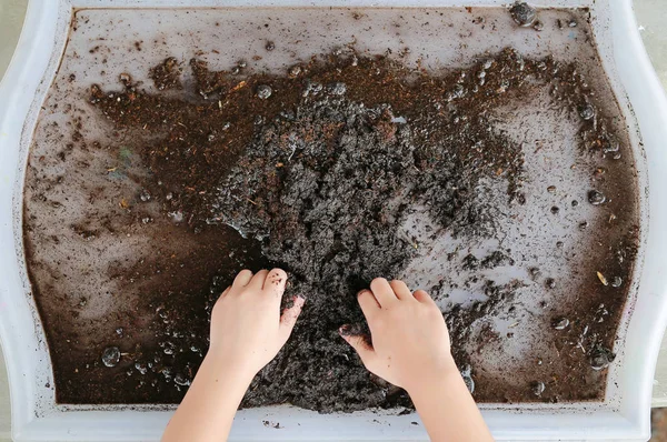 Små Barn Händer Blanda Jorden Med Kompost Plasttråg Plantering Träd — Stockfoto