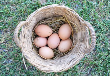 Sepet içinde birçok tavuk yumurtası. Üstten Görünüm.