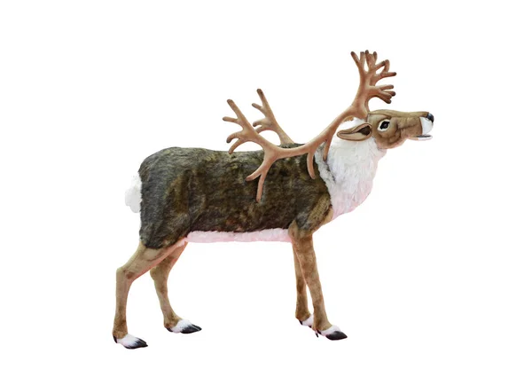 以白色背景为背景的圣诞节及冬至主题的驯鹿娃娃 — 图库照片