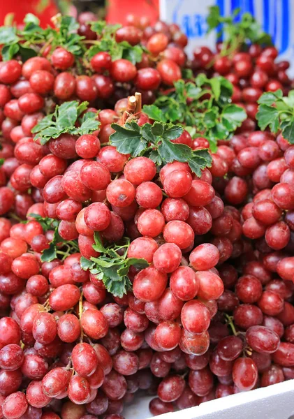 Primer Plano Uvas Vino Tinto Fondo Fruta Mercado Local —  Fotos de Stock