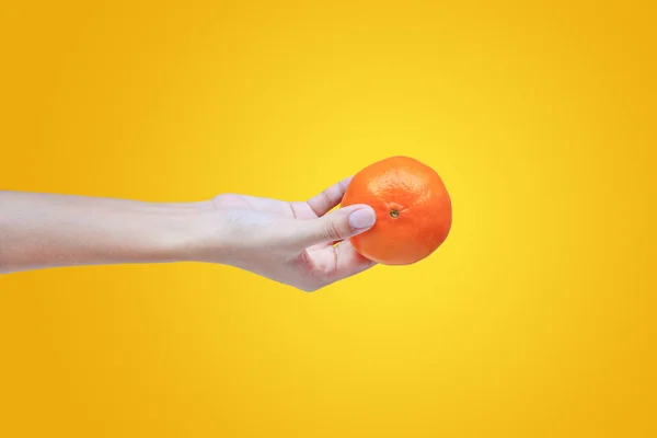 Gros Plan Personnes Main Tenant Fruits Orange Isolé Sur Fond — Photo