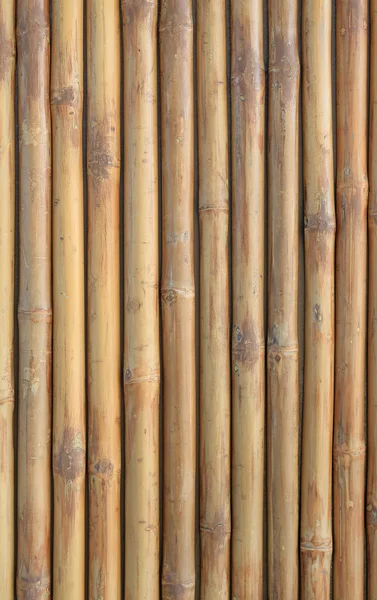 Vertical Cerca Bambu Parede Fundo — Fotografia de Stock