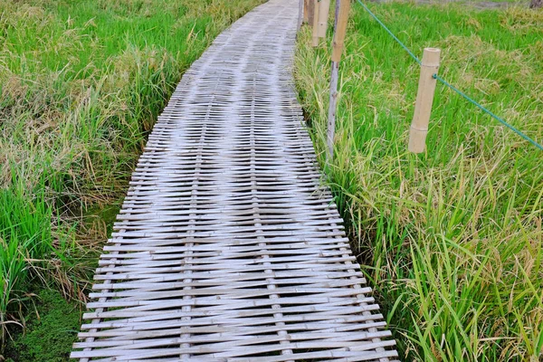 Puente Bambú Madera Arrozal Arroz — Foto de Stock