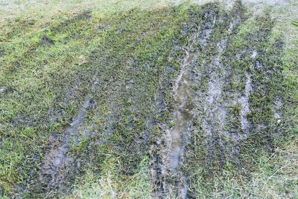 Muddy Road Wet Green Grass — Stock Photo, Image