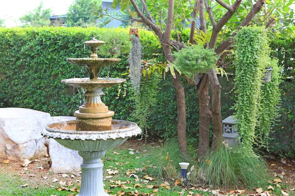 Fountain in the park garden. Water flows from the fountain.