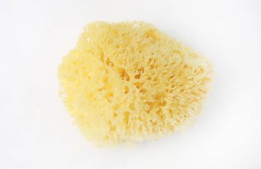 Beyaz arka planda izole bebekler için banyo deniz süngeri.