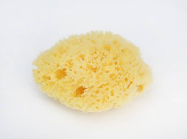 Beyaz arka planda izole bebekler için doğal sünger.