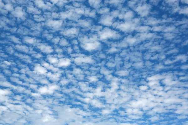 Sky Puffy Wolken Achtergrond — Stockfoto