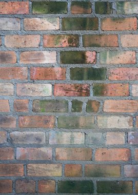 Yeşil yosun ya da Lichen içeren eski tuğla duvar dokusu