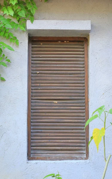 Lüftungsfenster Aus Holz Mit Efeu Verkleidet — Stockfoto