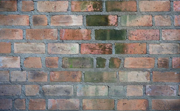 Stare Murowane Tło Tekstury Ściany Zielonych Alg Lub Porostów — Zdjęcie stockowe