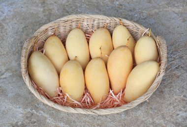 Rattan sepetinde altın mango meyvesi. Olgun sarı Barakuda mangosu. Tayland 'da tropik meyve.