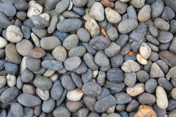 Pebble Stone Ground Texture Background — Stock Photo, Image