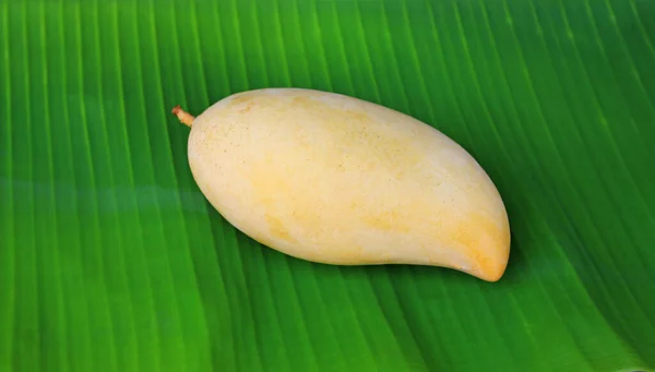 Fruta Mango Dorado Sobre Fondo Hoja Plátano Verde Fresco Mango — Foto de Stock