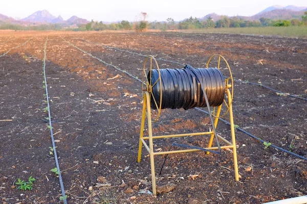 Irrigação Gotejadora Auto Compensadora Usada Agricultura Para Cultivo Árvores Jovens — Fotografia de Stock
