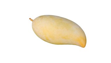 Beyaz arka planda izole edilmiş altın mango meyvesi. Olgun sarı Barakuda mangosu. Tayland 'da tropik meyve.