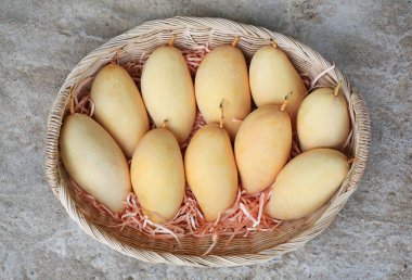 Rattan sepetinde altın mango meyvesi. Olgun sarı Barakuda mangosu. Tayland 'da tropik meyve. Üst görünüm.