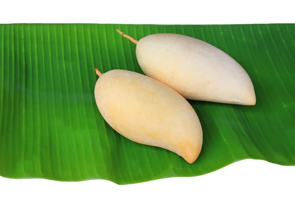 황금빛 망고는 배경에 바나나 열매를 맺는다 바라쿠다 망고를 황갈색의 — 스톡 사진
