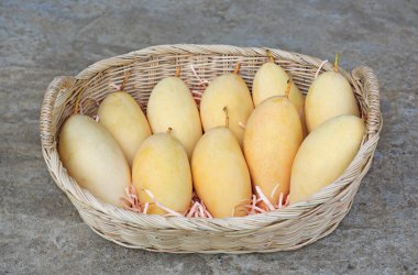 Rattan sepetinde altın mango meyvesi. Olgun sarı Barakuda mangosu. Tayland 'da tropik meyve.