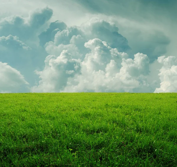 Sfondo con verde erba densa e belle nuvole tempesta — Foto Stock