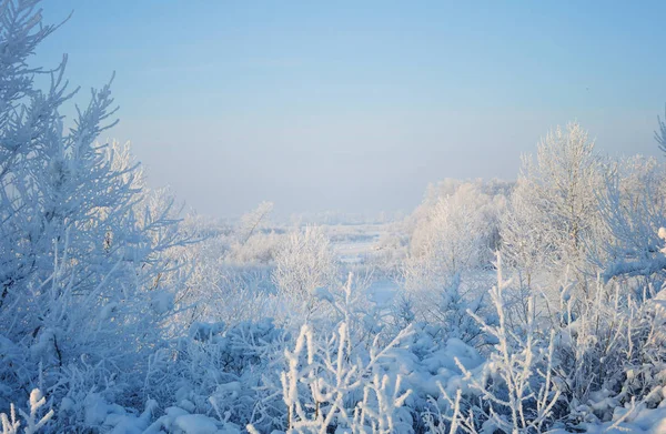 Paisagem Inverno Com Floresta Coberta Neve Nevascas — Fotografia de Stock