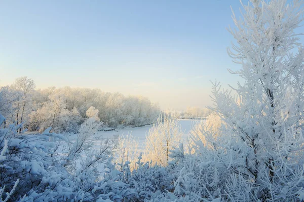 Paisagem Inverno Com Floresta Coberta Neve Nevascas — Fotografia de Stock