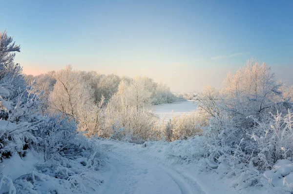 雪に覆われた森林と吹きだまりの冬の風景 — ストック写真