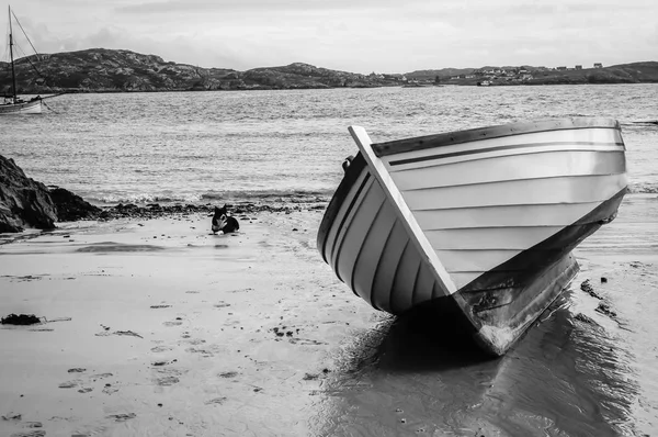 Barca e cane sulla spiaggia di sabbia Foto Stock Royalty Free