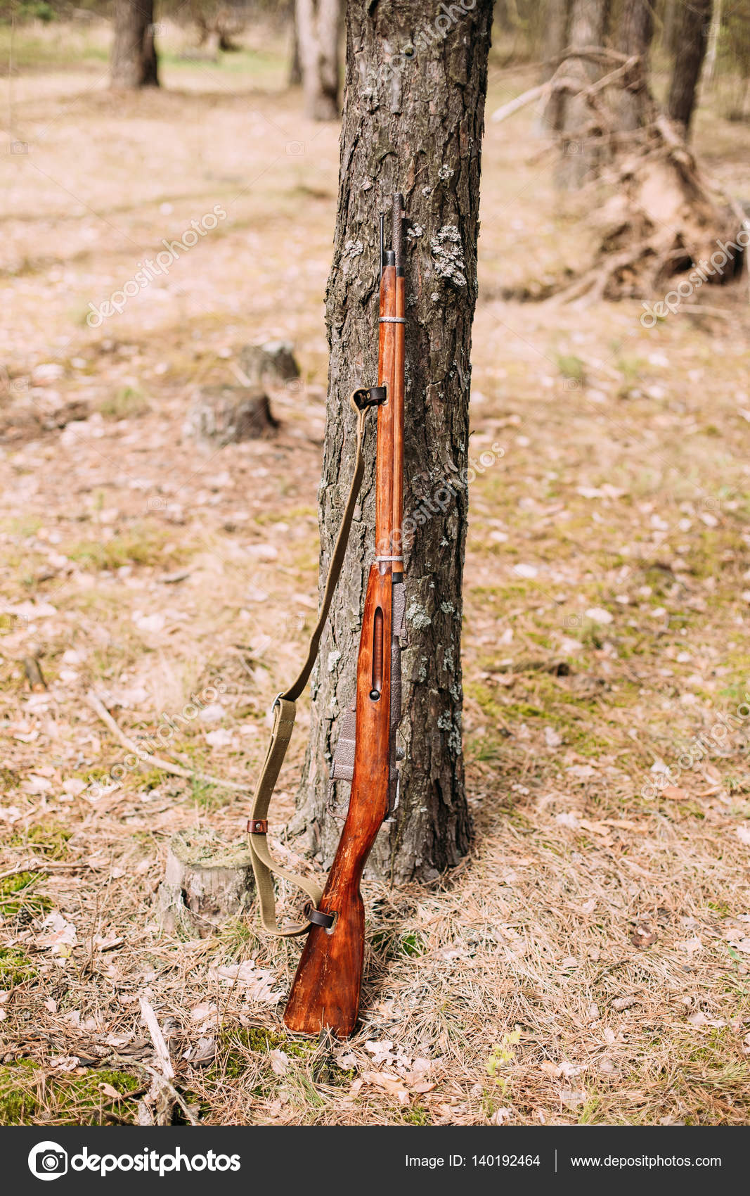 Soviet russian rifle of World War II leaning against trunk of tree
